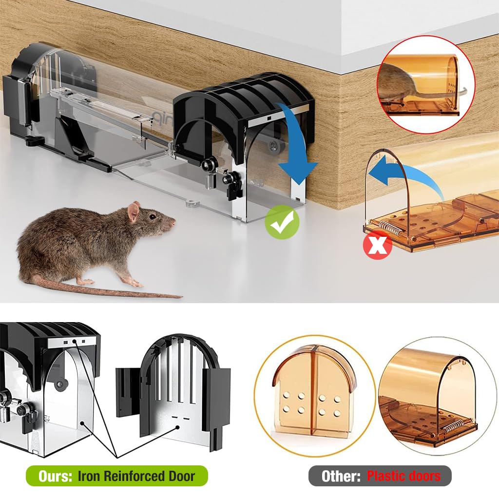 Rat Cage Trap