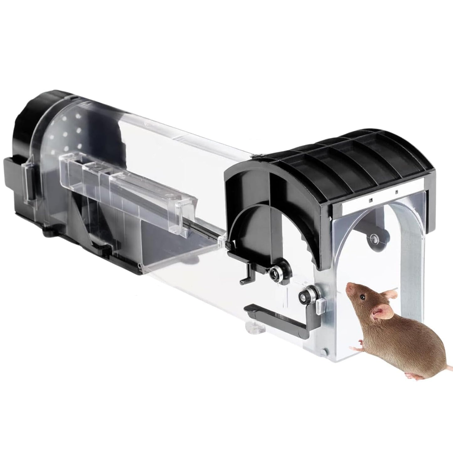 Rat Cage Trap