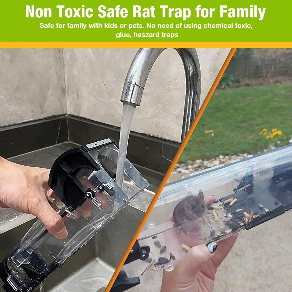 Rat Cage Trap