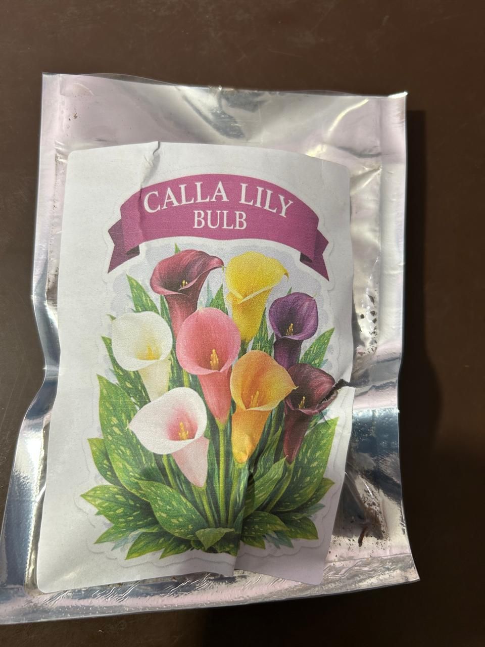 Calla Lily Seeds