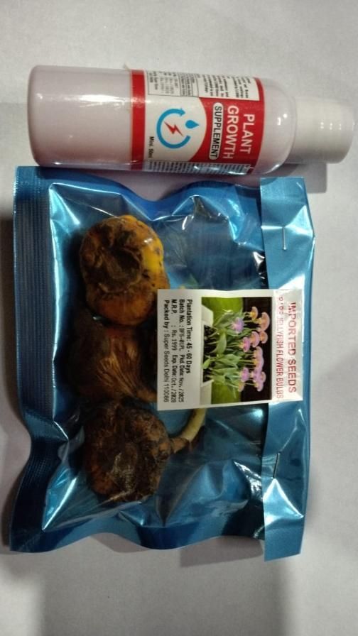 Rare Medusa Orchid with Plant Growth Supplement (Buy 2 Get 2 Free)