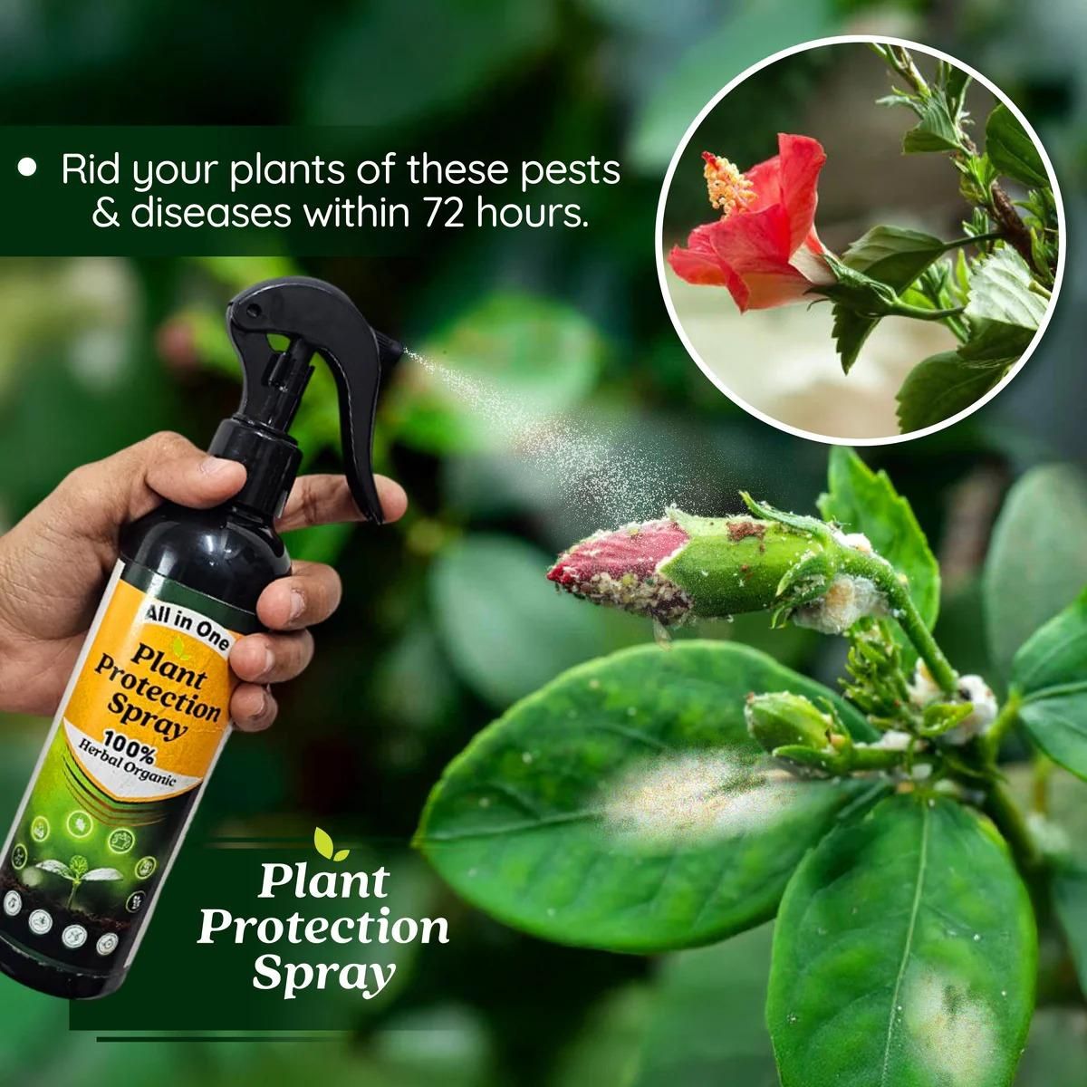 Plant Protection Spray ( Buy 1 Get 1 Free )