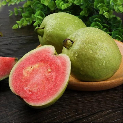 Pink Guava Seeds