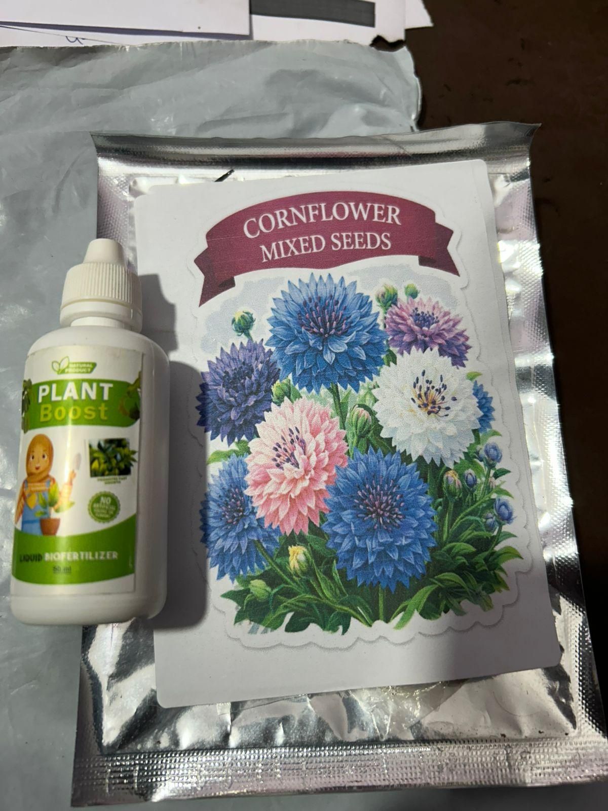 Premium Cornflower Seeds