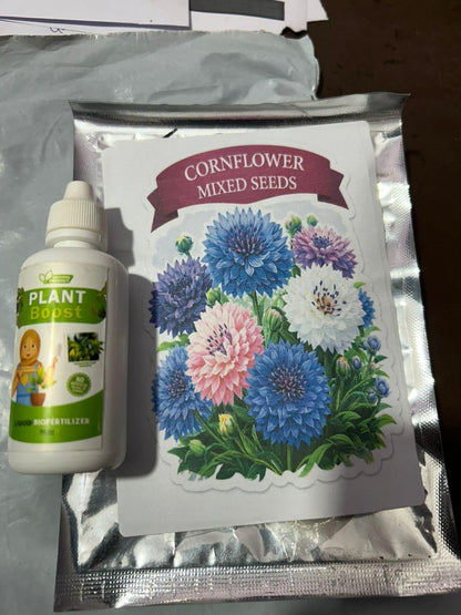 Premium Cornflower Seeds