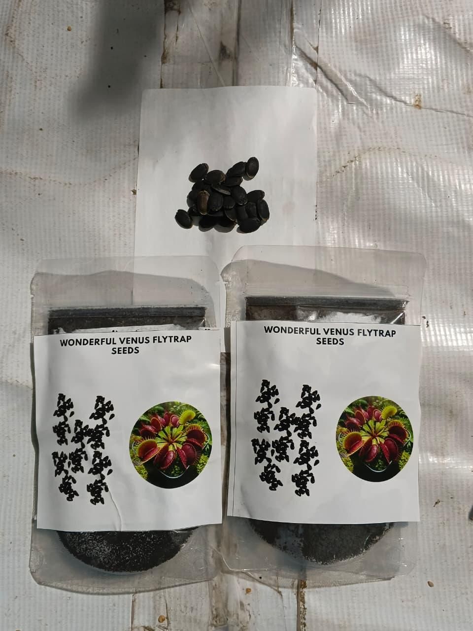 Carnivorous Seeds (Buy 1 Get 1 free)