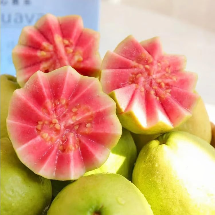 Pink Guava Seeds