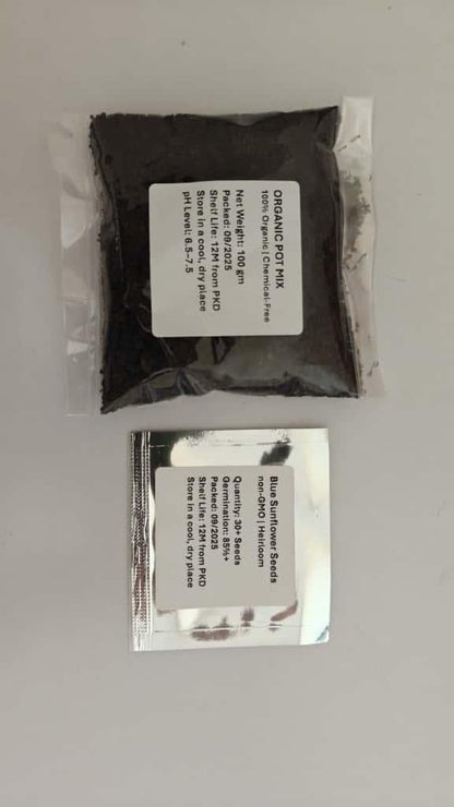 Blue Flame Sunflower Seeds + 100G Organic Pot Mix Free