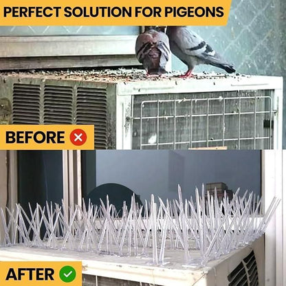 Pigeon Control Spikes (BUY 5 GET 5 )