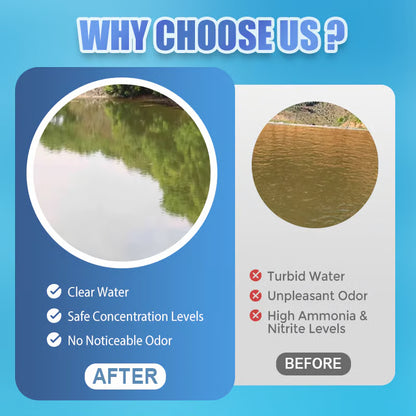 Water Clarifier & Algae Control Powder for Ponds 🐟