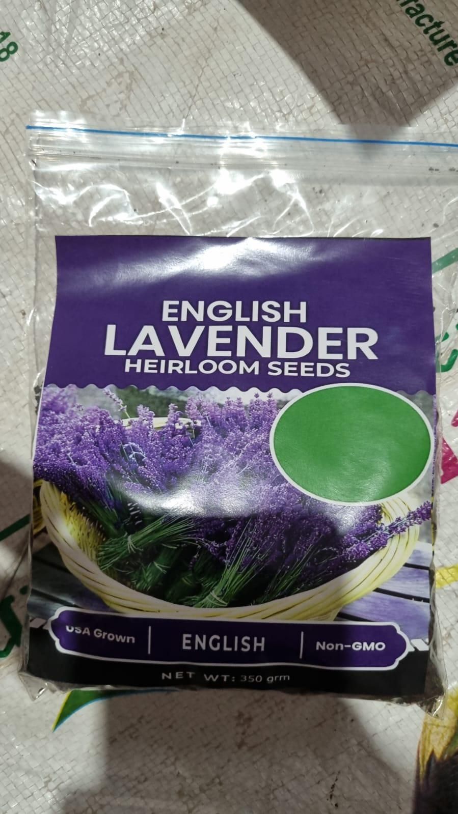 Lavender Seeds