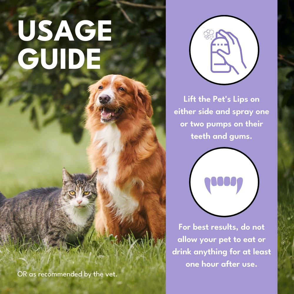 Teeth Cleaning Spray for Dogs & Cats (BUY1 GET1 FREE)