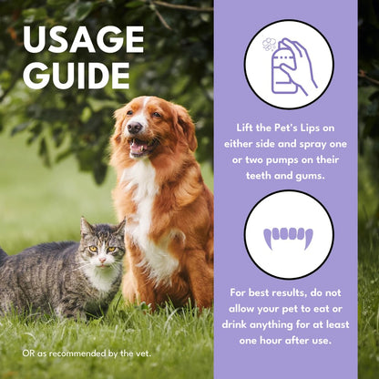 Teeth Cleaning Spray for Dogs & Cats (BUY1 GET1 FREE)