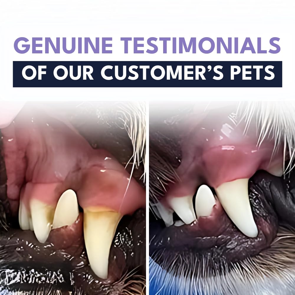 Teeth Cleaning Spray for Dogs & Cats (BUY1 GET1 FREE)