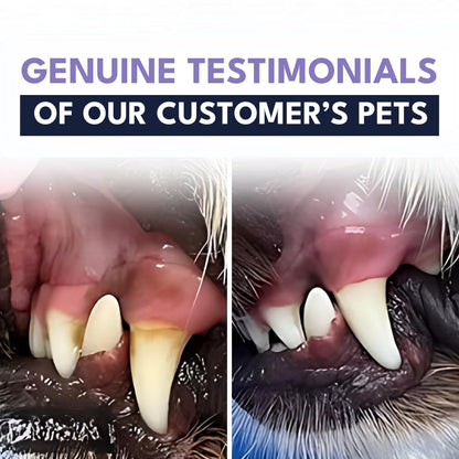 Teeth Cleaning Spray for Dogs & Cats (BUY1 GET1 FREE)