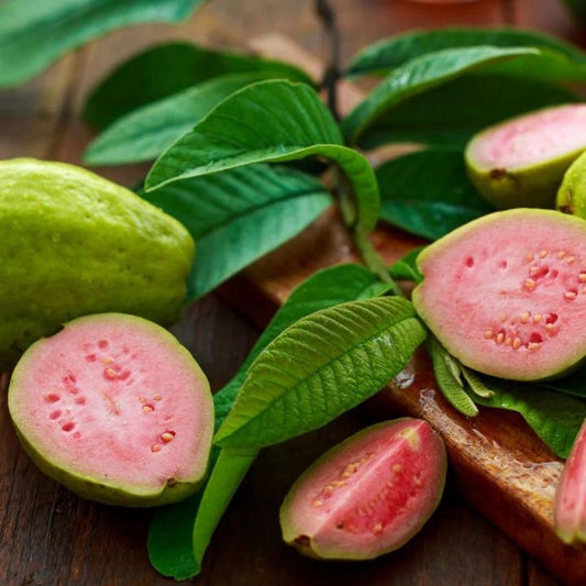 Pink Guava Seeds