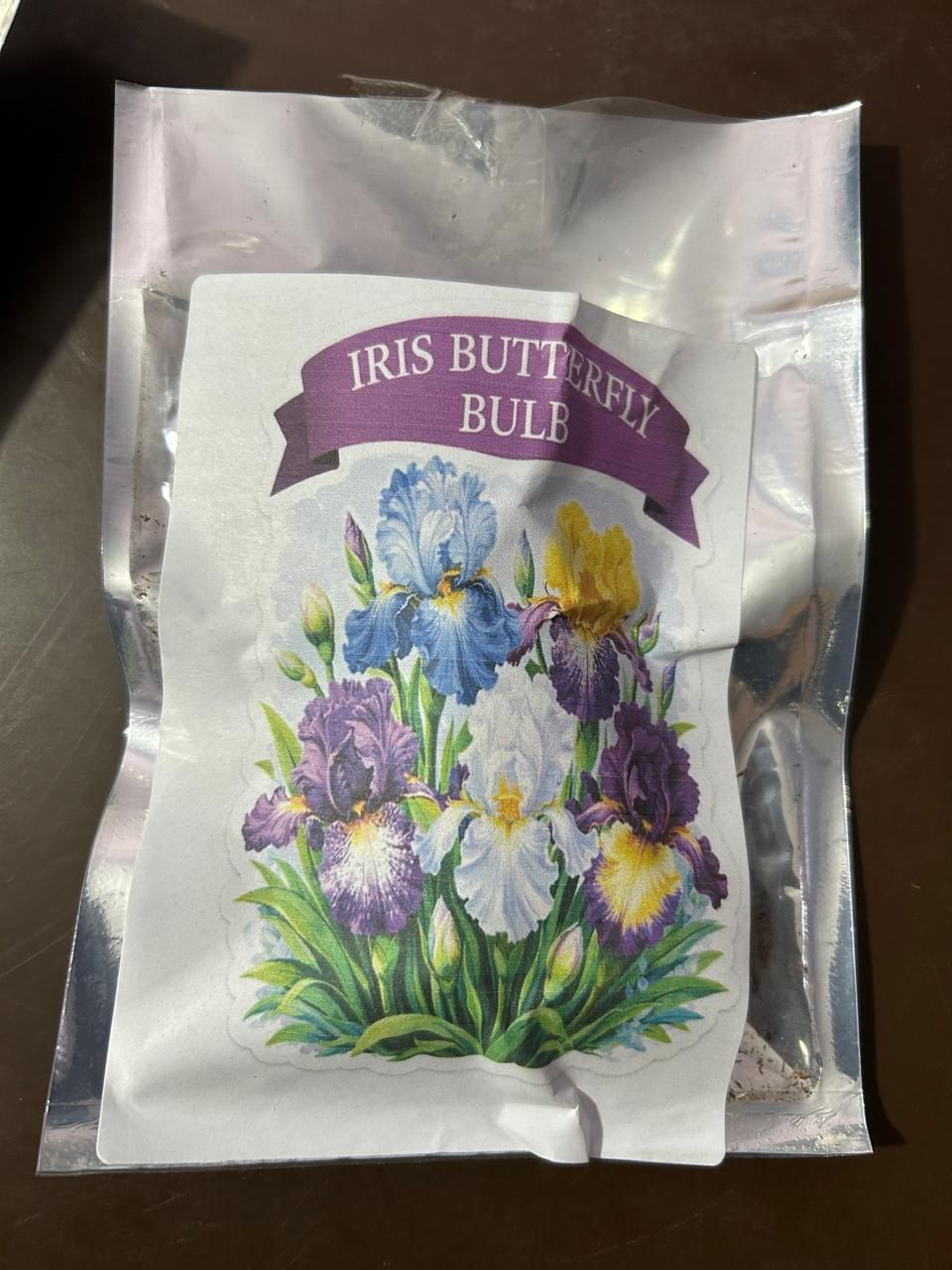 Rare Tall Iris Seeds