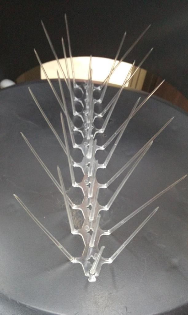 Pigeon Control Spikes (BUY 5 GET 5 )