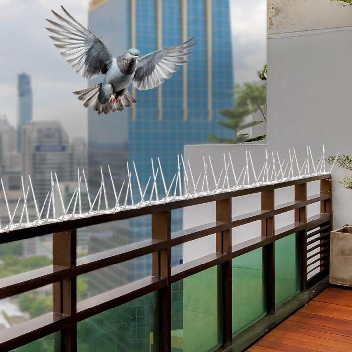 Pigeon Control Spikes (BUY 5 GET 5 )