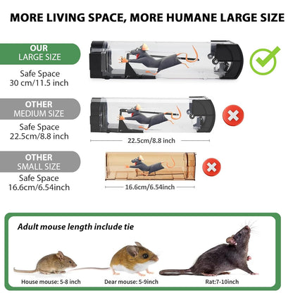 Rat Cage Trap