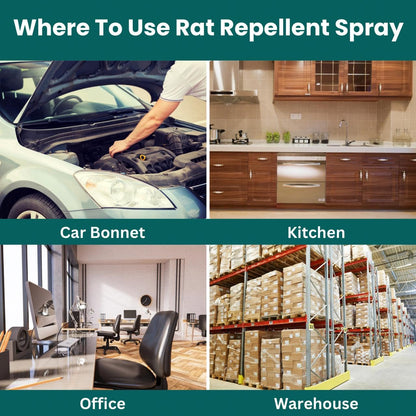 Rodent Repellent Spray (BUY1 GET2 FREE)