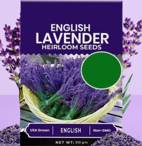 Lavender Seeds