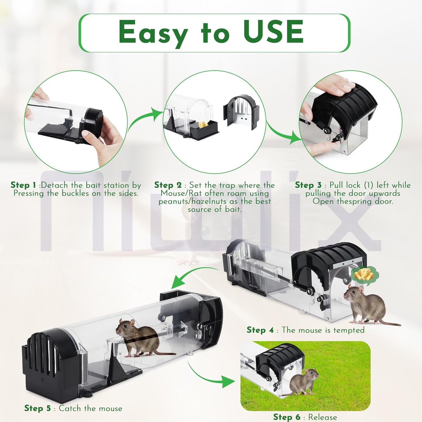 Rat Cage Trap