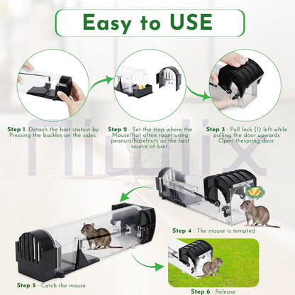Rat Cage Trap