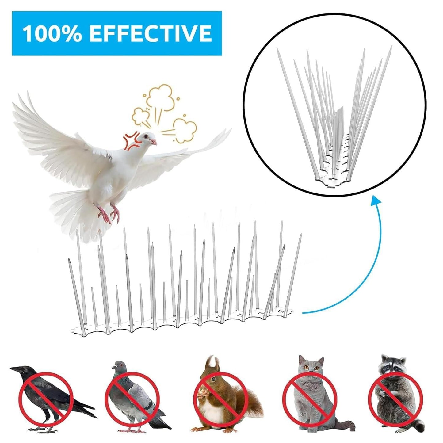 Pigeon Control Spikes (BUY 5 GET 5 )