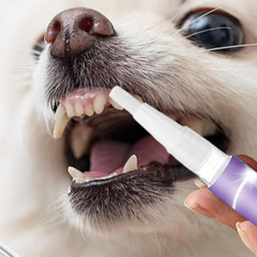 Teeth Cleaning Spray for Dogs & Cats (BUY1 GET1 FREE)
