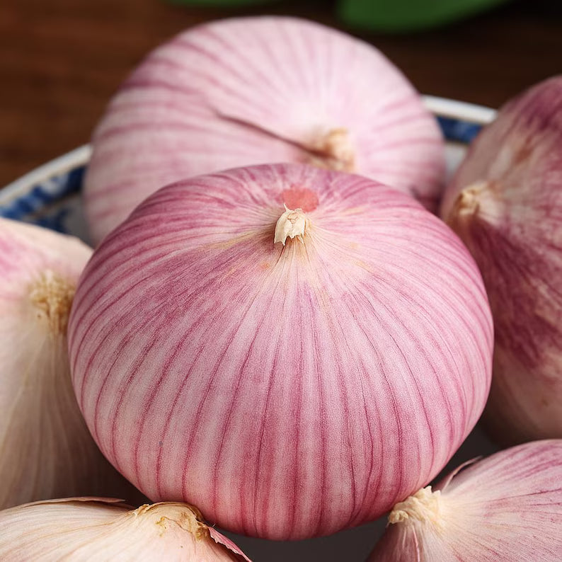 Single Clove Garlic Seeds + Plant Growth Serum Free