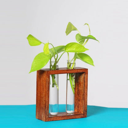 Wooden Stand Glass Planter